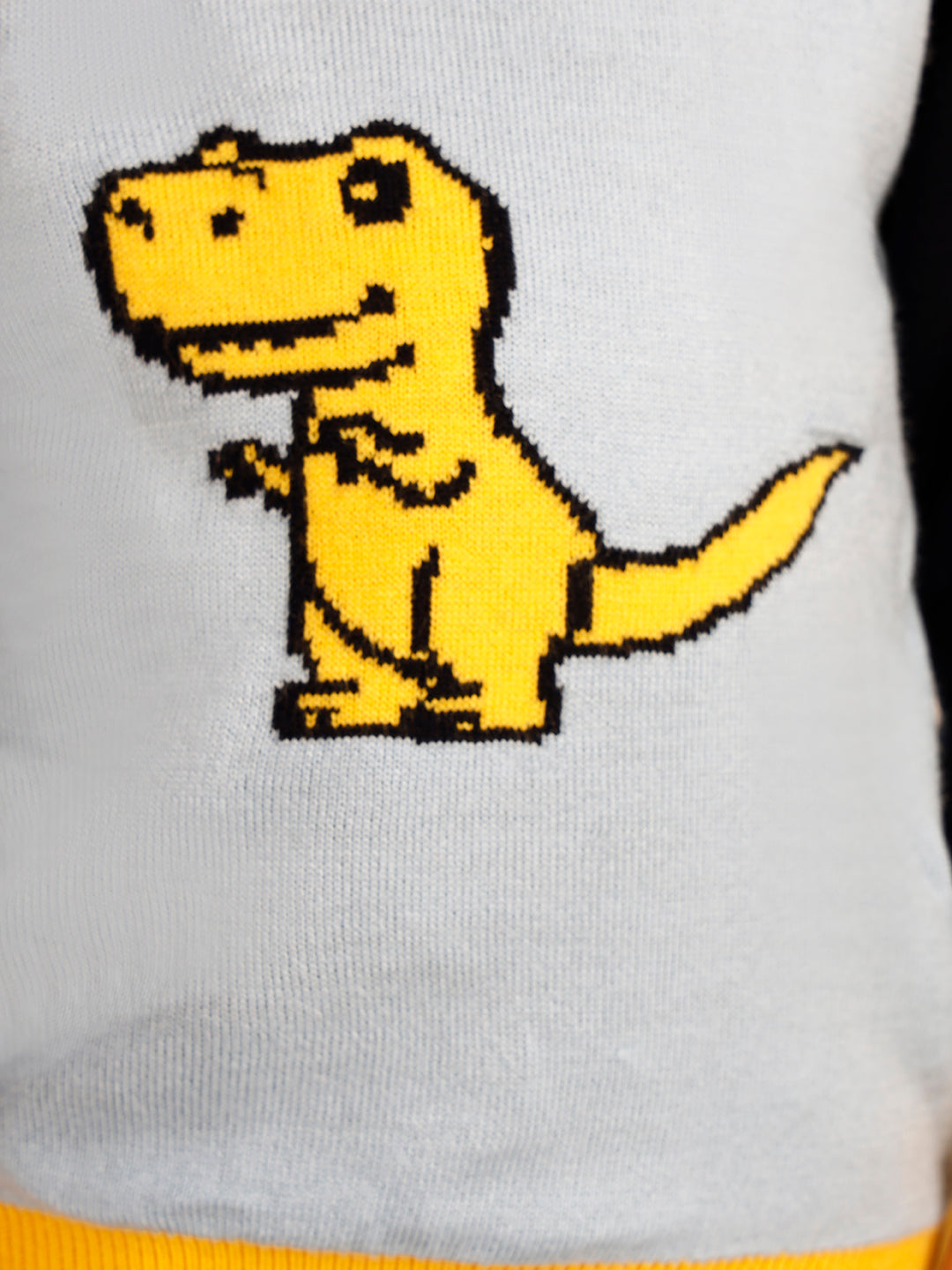 T-REX Pullover