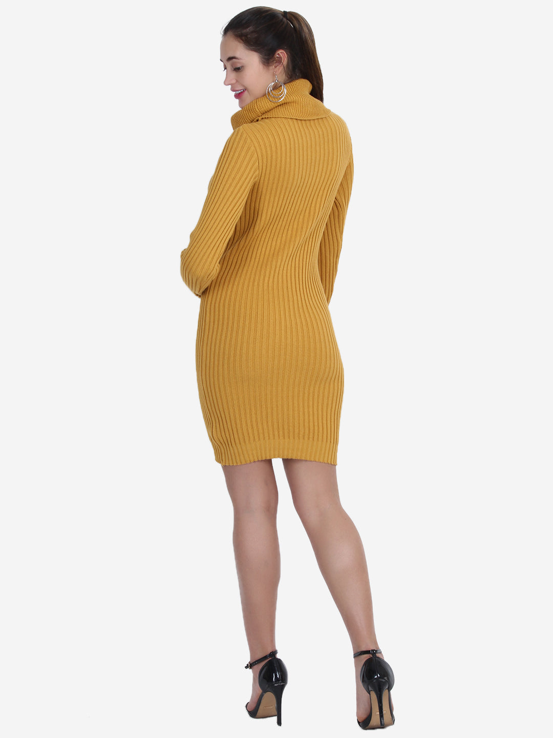 Turtle Collar Bodycon Dress