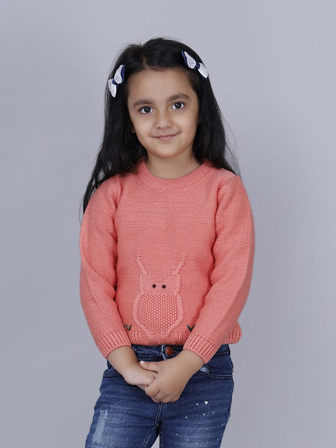 OWLET SWEATER