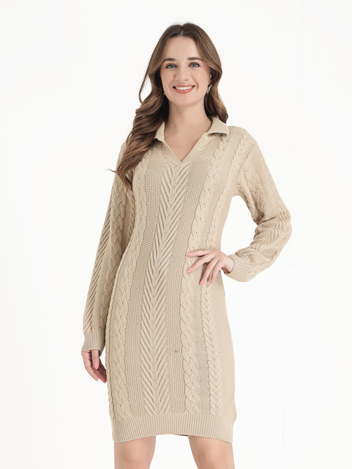 The Beige Polo Collar V Neck Dress
