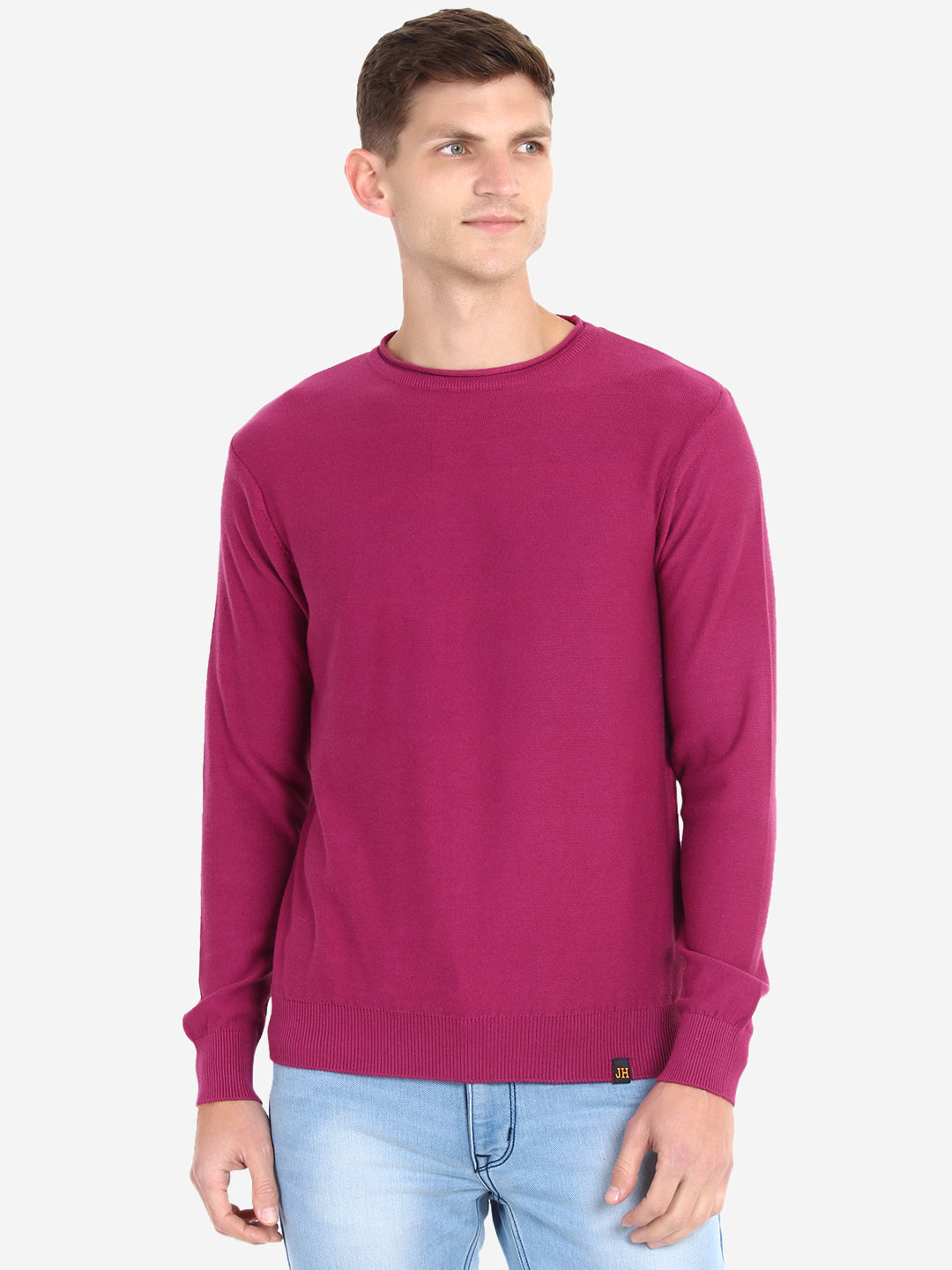 Men Solid Purple Pullover