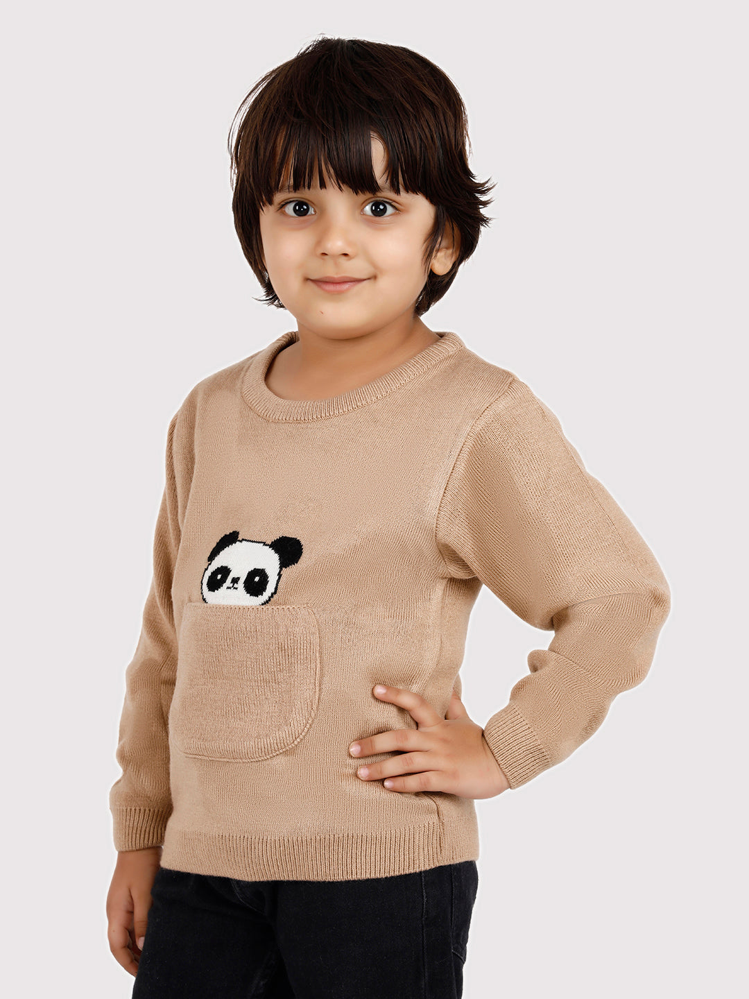 Beige Color Panda Pocket pullover