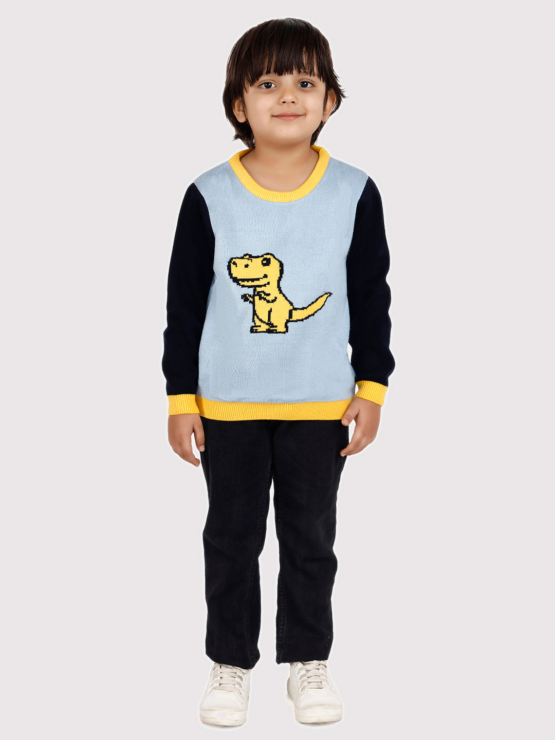 T-REX Pullover